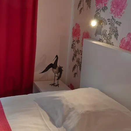 Hotel Soft 3*