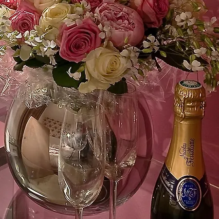 ソフト ホテル パリ